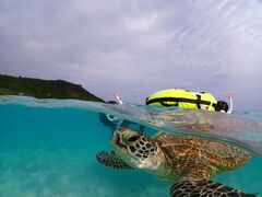 �{�Ó��}�����V���b�vSmiley�̎ʐ^1