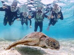 �̂����񂳂�̋{��blue�܂ق�΂ւ̓��e�ʐ^1