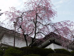 �O���`������̐ΎR���̍��ւ̓��e�ʐ^1