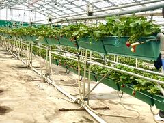 �t�@�[���N���u�����_��̎ʐ^1