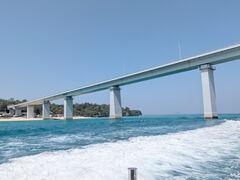 ����A�C�����h�N���[�̎ʐ^3