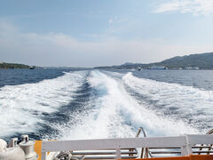 ����A�C�����h�N���[�̎ʐ^4