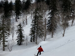 �삠���уK�C�h�݂������̎ʐ^3