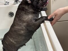 てるこさんのHOMELAND OMEへの投稿写真1