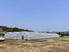 ���΃x���[���������̎ʐ^1