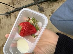 �݂̂�_���̎ʐ^1