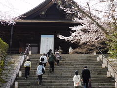 �O���`������̎O�䎛�i���鎛�j�̓��e�ʐ^1