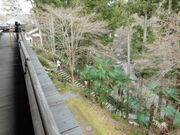 �O���`������̐ΎR���{���̓��e�ʐ^1