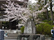 �O���`������̎O�䎛�i���鎛�j�̓��e�ʐ^1