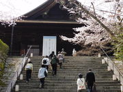 �O���`������̎O�䎛�i���鎛�j�̓��e�ʐ^2