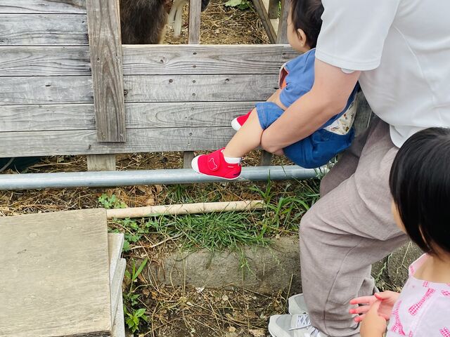 ���M����ɂ����A���܂����B_�݂ǂ��t�@�[��