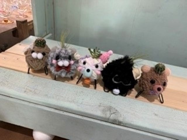 ���킢�����܂���_�ߐ{-omo-