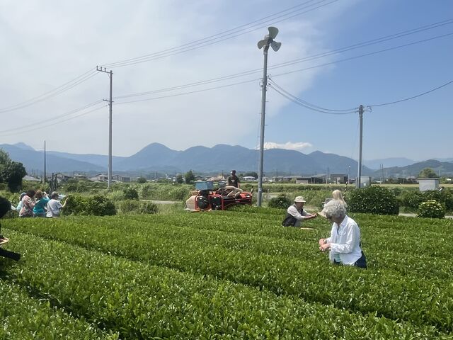 ���E�ݑ̌�_�J��MyTea