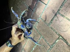 Nami�{�Ó��̎ʐ^1