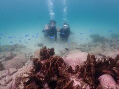 �����_�C�r���O�T�[�r�X�@Smiley Dive�̎ʐ^1