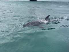 �����_�C�r���O�T�[�r�X�@Smiley Dive�̎ʐ^2