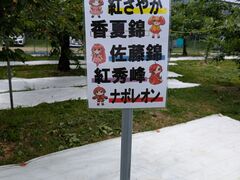 ����ʎ����̎ʐ^1