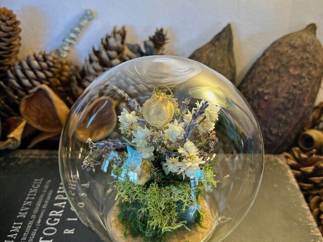 �ۂƉԂ̃e�����E��_Botanicaflower SCHOOL