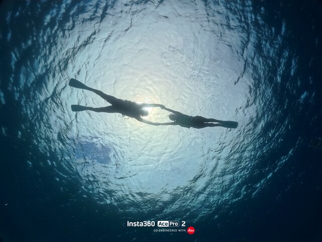 ���z�I�Ȏʐ^�I_�ɍ]��Mariner