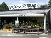 ���傤��������̃p�m���}�s��̓��e�ʐ^1