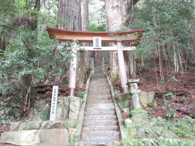 ���ڂ炳��̌p�����q�Ղ̓��e�ʐ^1