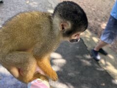 �Ί_���c�A�[�K�C�h�I�[���u���[�̎ʐ^1
