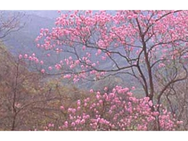 ���R_���R