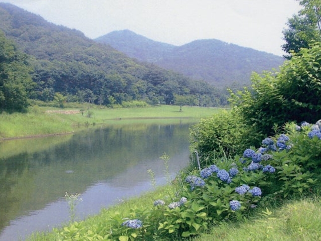 �O�}�R_�O�}�R