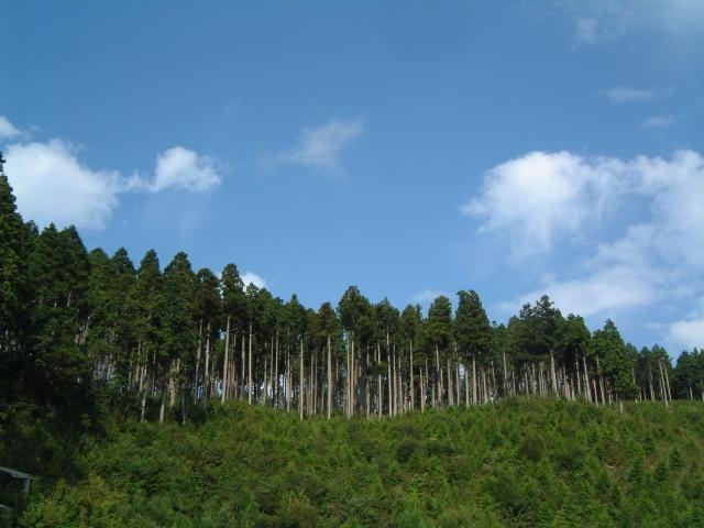 �_���K��