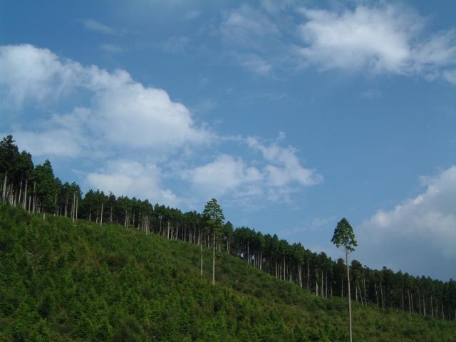 �_���K��