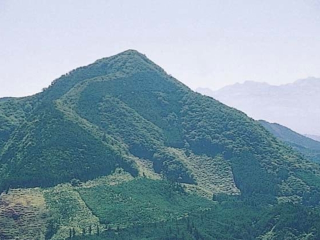 �n�_�x_�n�_�x