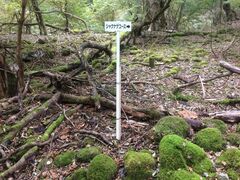 �O��R�̎ʐ^1