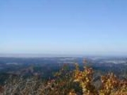 �[�Z�R�̎ʐ^2