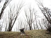 �n���x�̎ʐ^2