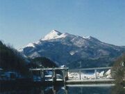 �C�P�R�i�Еx�m�j�̎ʐ^1