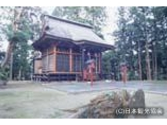 �o�_�_�Ђ̎ʐ^1