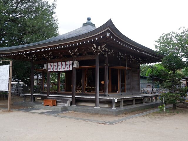 �~�����̎ʐ^1