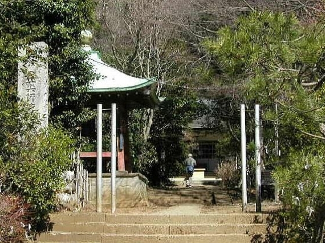 ��̖�t�̎ʐ^1