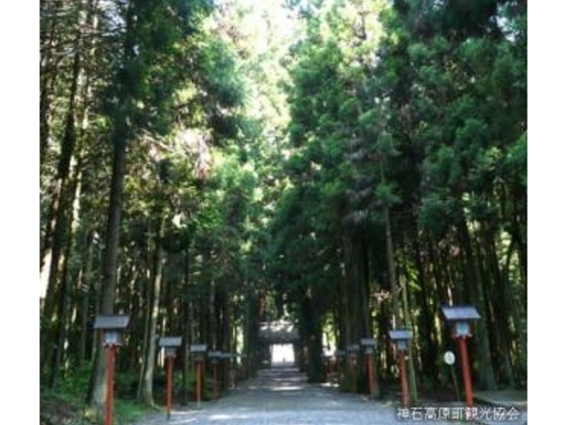 ���؋T�ߎR�����_�Ђ̎ʐ^1