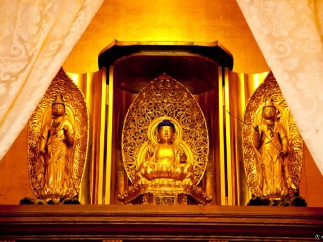 ������t�ڗ����@��_�㉤�R������