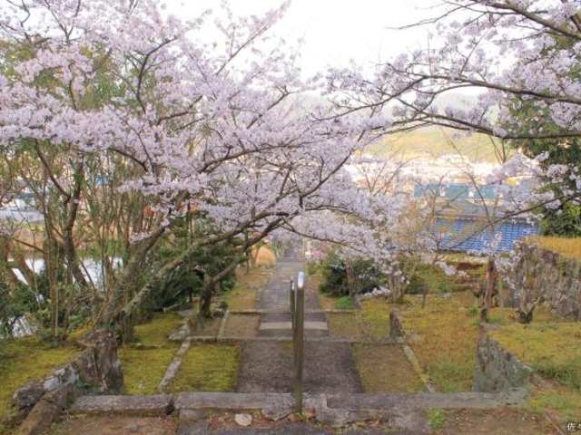 �������̍�_�㉤�R������