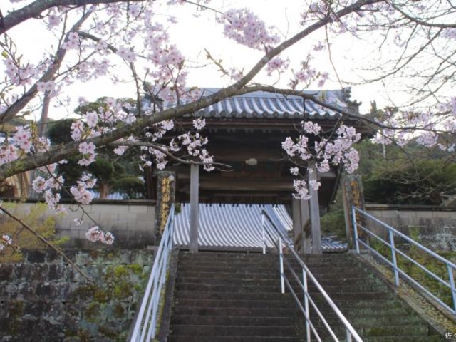 ���Ɠ�����_�㉤�R������