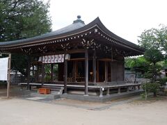 �~�����̎ʐ^1