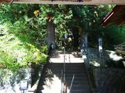 �L���_�Ђ̎ʐ^3