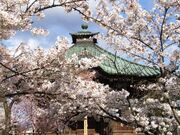 �ی���t���̎ʐ^2