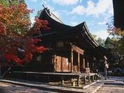 q_Ёi򕌌bߎsj̎ʐ^1