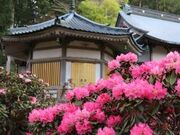 ����R�����@�̎ʐ^3