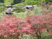 �r��s�����̎ʐ^2