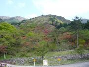 �r��s�����̎ʐ^3