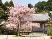 ��Ҏ��̎ʐ^2